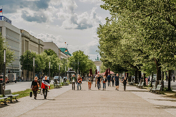 Wide avenues lined with trees – Berlin is green in more ways than one The avenue Unter den Linden between Alexanderplatz and the Brandenburg Gate