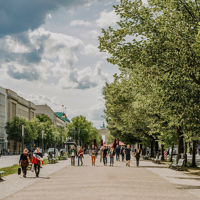 Wide avenues lined with trees – Berlin is green in more ways than one The avenue Unter den Linden between Alexanderplatz and the Brandenburg Gate