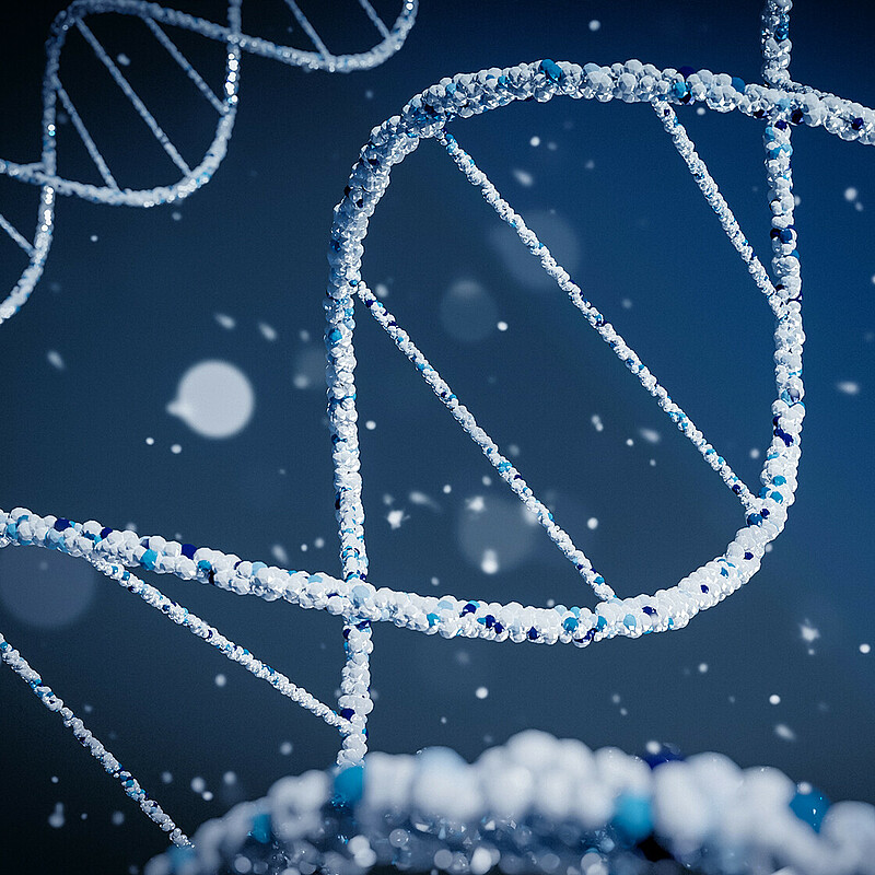 Medical research based on T cells hopes to enhance the performance of the immune system. The company T-knife enhances so-called T cells to ‘teach’ the immune system to recognise the tell-tale signs of viral infection or cancer.