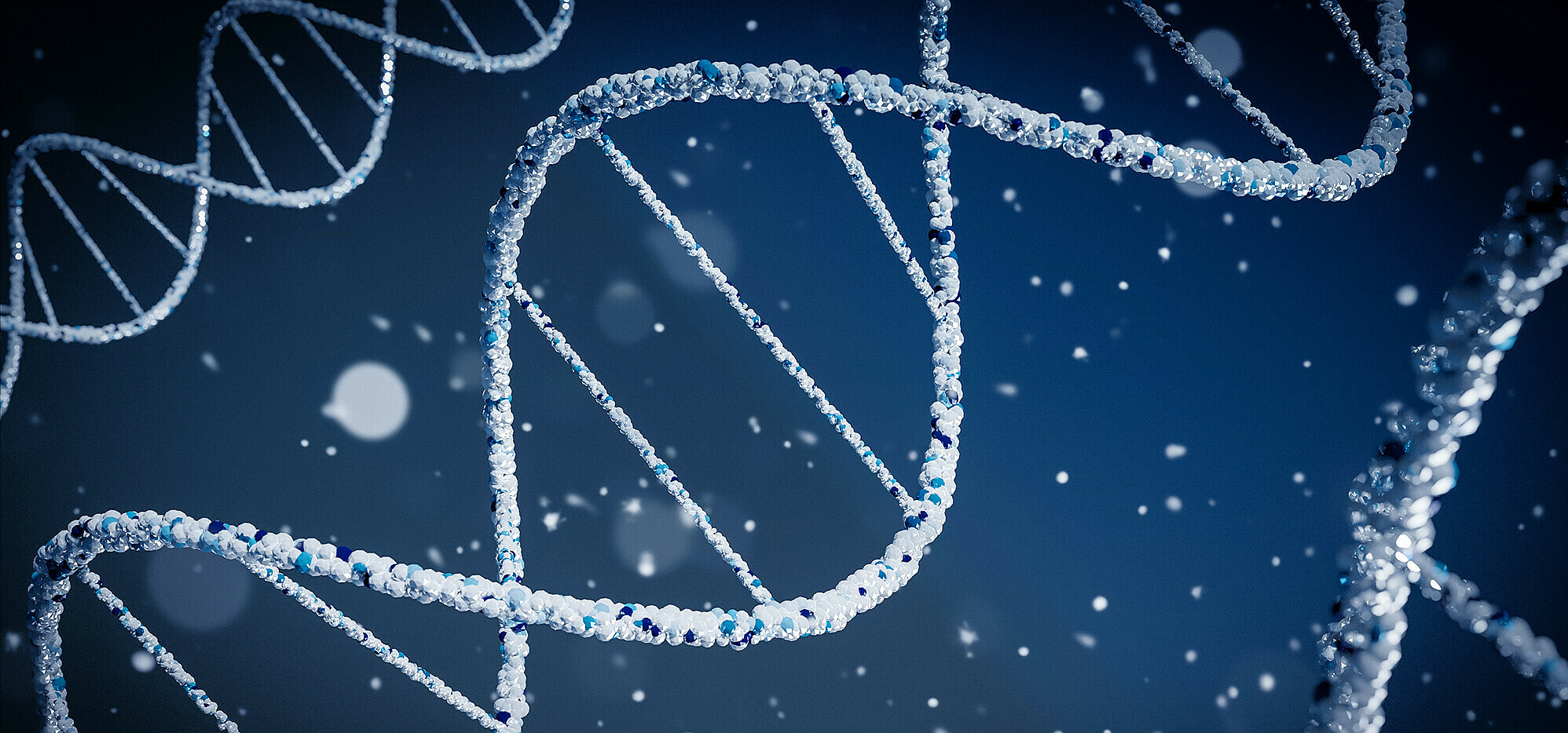 The company T-knife enhances so-called T cells to ‘teach’ the immune system to recognise the tell-tale signs of viral infection or cancer.