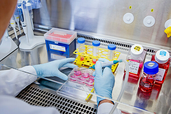 Health research, business and practice is all big in Berlin The healthcare industry is thriving in Berlin-Brandenburg.