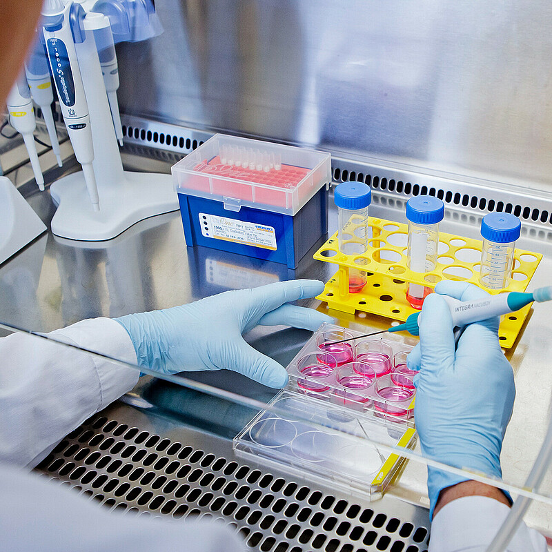 Health research, business and practice is all big in Berlin The healthcare industry is thriving in Berlin-Brandenburg.