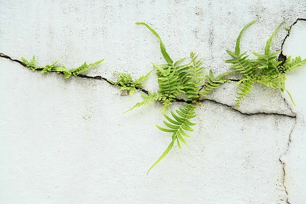 (c) curraheeshutter (c) curraheeshutter