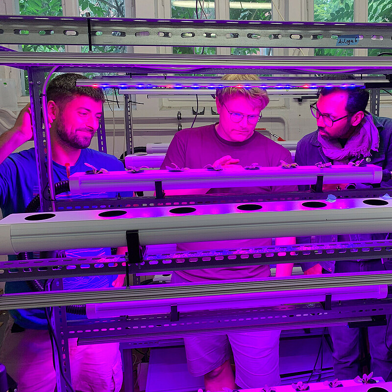 Modern day farmers – Crocus Labs founders Prashanth Makaram and Tim Schäfer studying crops. Vertical farms increase efficiency by growing crops in a controlled environment which rely on artificial light.